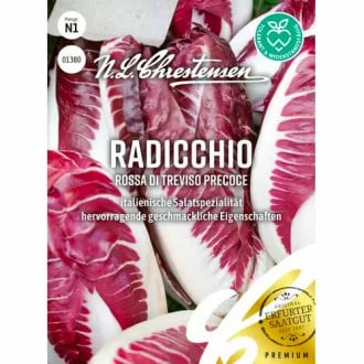 Radicchio Rossa di Treviso precoce Chrestensen  interface.image 2