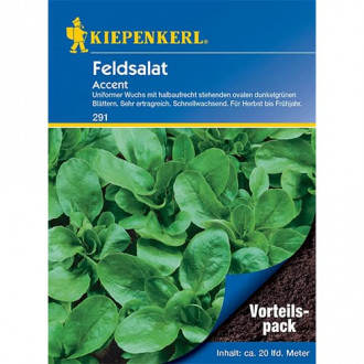 Feldsalat Accent interface.image 3