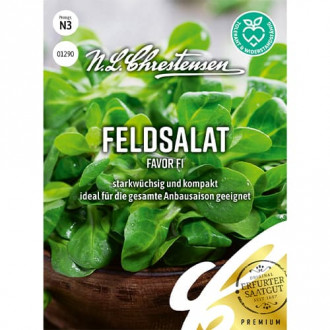 Feldsalat Favor F1 interface.image 4