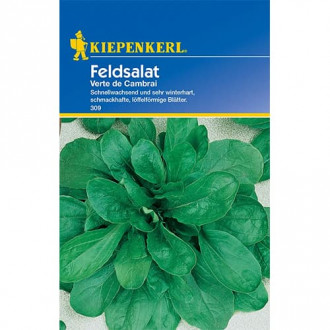 Feldsalat Verte de Cambrai interface.image 5