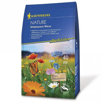 Wildblumen - Wiese (250 g) Bild 16 Wildblumen - Wiese (250 g) interface.image 16