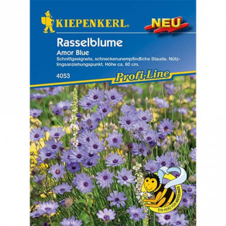 Rasselblume Amor Blue Bild 12 Rasselblume Amor Blue interface.image 12