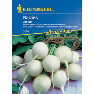 Radies Albena interface.image 4