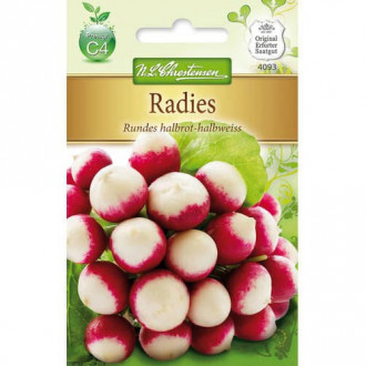 Radies Rundes halbrot-halbweiss Bild 10 Radies Rundes halbrot-halbweiss interface.image 10