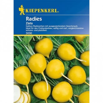 Radies Zlata interface.image 5
