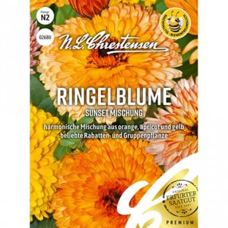 Ringelblume Sunsetmischung interface.image 6