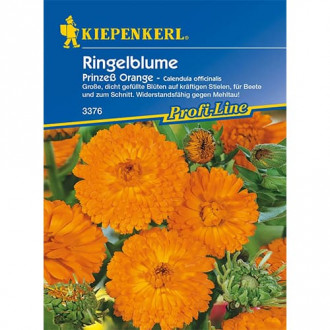 Ringelblume Prinzeß Orange Bild 9 Ringelblume Prinzeß Orange interface.image 9