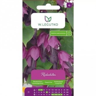 Rosenkleid interface.image 6