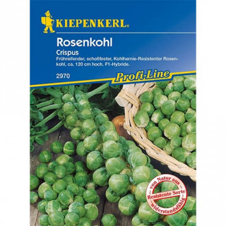 Rosenkohl Crispus F1 interface.image 6