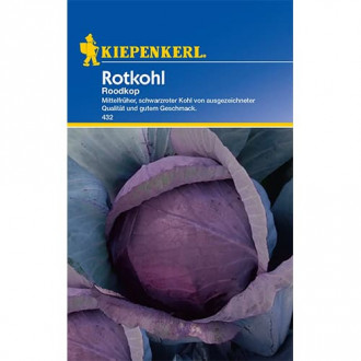 Rotkohl Schwarzkopf 2 interface.image 2