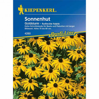 Sonnenhut Rudbeckia Goldsturm Bild 17 Sonnenhut Rudbeckia Goldsturm interface.image 17