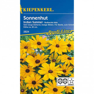 Sonnenhut Rudbeckia Indian Summer Bild 18 Sonnenhut Rudbeckia Indian Summer interface.image 18