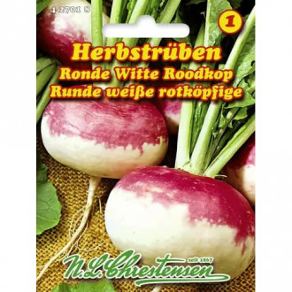 Herbstrüben Ronde Witte Roodkop interface.image 1