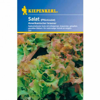 Salat Amerikanischer brauner interface.image 3