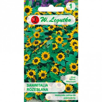 Sanwitalia rosacea Legutko interface.image 7