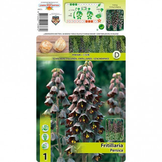 Kaiserkrone (Schachbrett) Persica interface.image 3