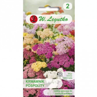 Schafgarbe, mischung Legutko interface.image 8