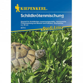 Schildkrötenmischung interface.image 1