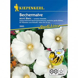 Bechermalve Mont Blanc Bild 14 Bechermalve Mont Blanc interface.image 14