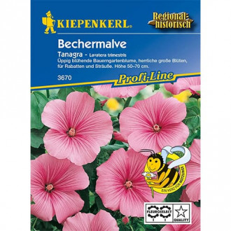 Bechermalve Tanagra Bild 16 Bechermalve Tanagra interface.image 16