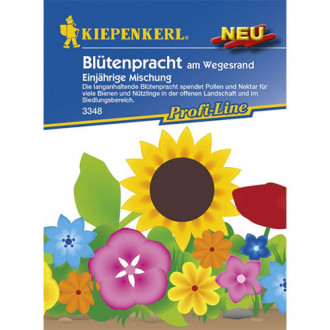 Sommerblumen an den Wänden Bild 15 Sommerblumen an den Wänden interface.image 15