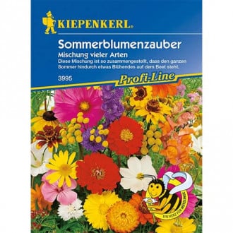 Blumenmischung Sommerblumenzauber interface.image 3
