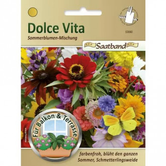Sommerblumenmischung Dolce Vita Bild 17 Sommerblumenmischung Dolce Vita interface.image 17