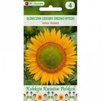 Sonnenblume Amor Amant interface.image 1