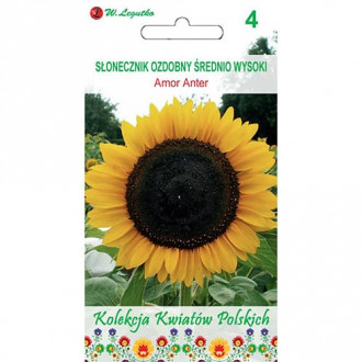 Sonnenblume Amor Anter interface.image 5