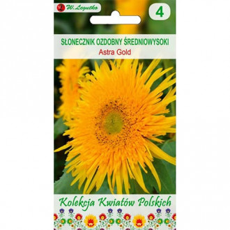 Sonnenblume Astra Gold interface.image 2