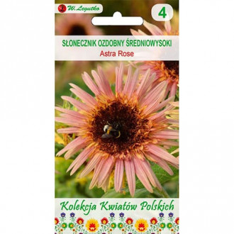 Sonnenblume Astra Rose Bild 16 Sonnenblume Astra Rose interface.image 16
