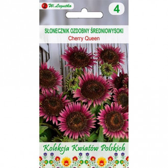 Sonnenblume Cherry Queen Bild 18 Sonnenblume Cherry Queen interface.image 18