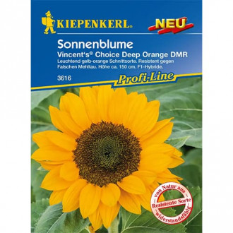 Sonnenblume Vincent's® Deep Orange DMR, F1 interface.image 6