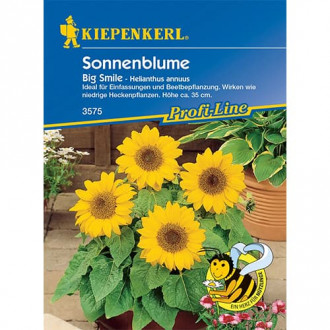 Sonnenblume Big Smile Kiepenkerl interface.image 6