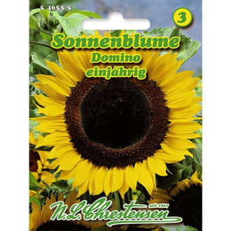 Sonnenblume Domino Bild 8 Sonnenblume Domino interface.image 8
