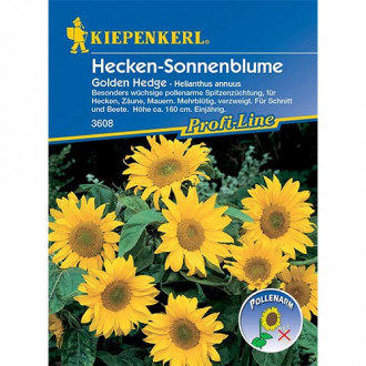 Sonnenblume Golden Hedge interface.image 1