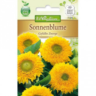 Sonnenblume Gefüllte Zwerge interface.image 6