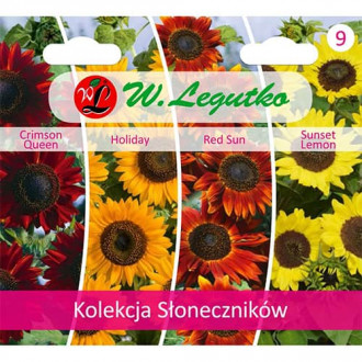 Sonnenblumen - Kollektion Bild 9 Sonnenblumen - Kollektion interface.image 9