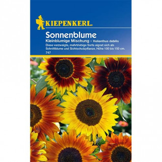 Sonnenblume Kleinblumige Mischung interface.image 5