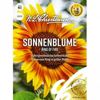 Sonnenblume Ring of Fire Chrestensen Bild 18 Sonnenblume Ring of Fire Chrestensen interface.image 18