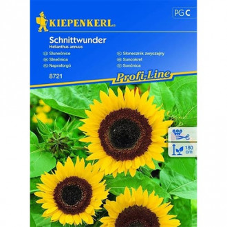 Sonnenblume Schnittwunder Kiepenkerl interface.image 1