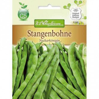 Stangebohne Neckarkonigin interface.image 6
