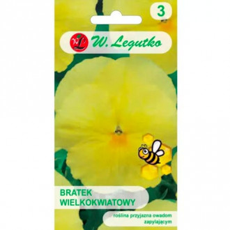 Stiefmütterchen Luna Legutko interface.image 18