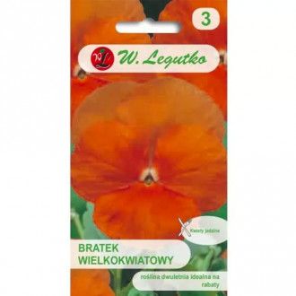 Stiefmütterchen Orange Sun Legutko interface.image 11