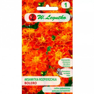 Studentenblume Bolero orange Legutko interface.image 4