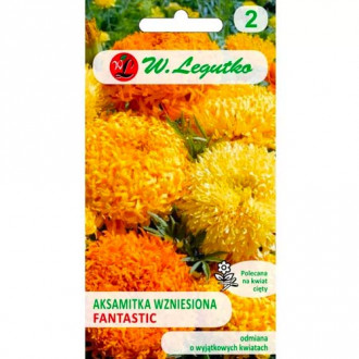 Studentenblume Fantastic gelb mischung Legutko Bild 14 Studentenblume Fantastic gelb mischung Legutko interface.image 14