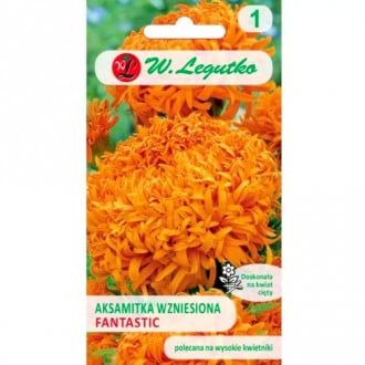 Studentenblume Fantastic mischung Legutko interface.image 1