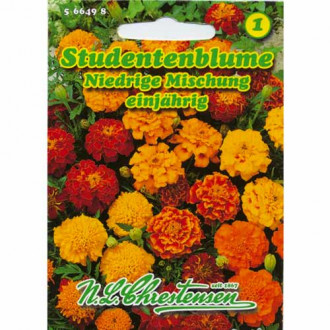 Studentenblume Niedrige Mischung Chrestensen  interface.image 2