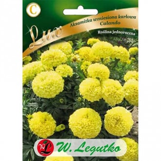Tagetes Calando gelb interface.image 2
