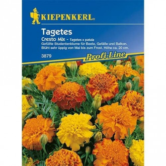 Tagetes Cresto Mischung interface.image 4